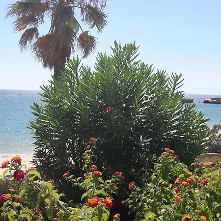 Апартаменты Luxurious First Floor With Balconies Overlooking Pool And Gardens.